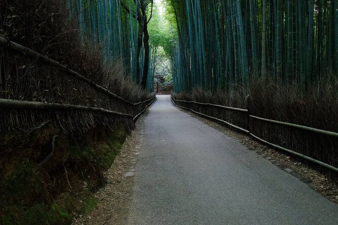 Kyoto Bamboo Forest & Golden Pavilion E-Bike Tour - E-bike strategy: how to ride comfortably and enjoy the stops