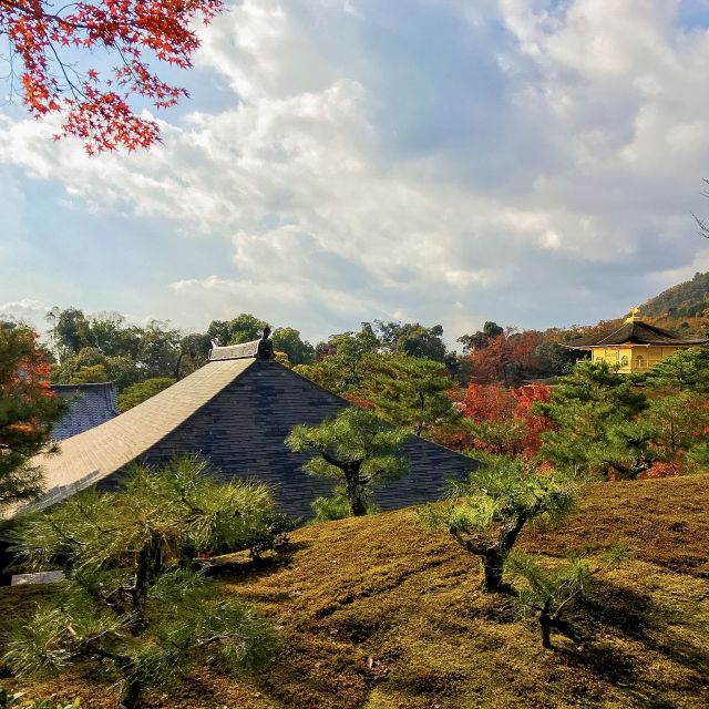 Kyoto: City Secrets eBike Tour - Cycling Kyoto’s older geisha area and the shrine of knowledge