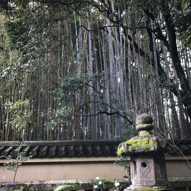 Kyoto: City Secrets eBike Tour - Daitoku-ji and the tea ceremony that explains Zen in plain language
