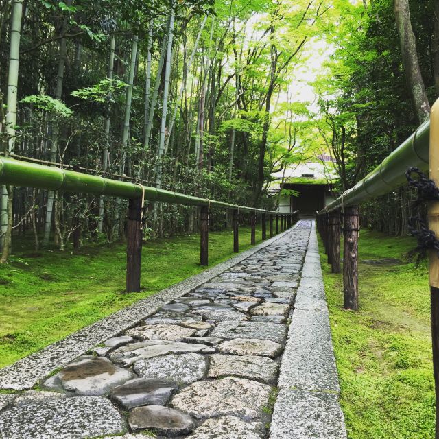 Kyoto: City Secrets eBike Tour - Riding Kyoto streets with confidence, not stress