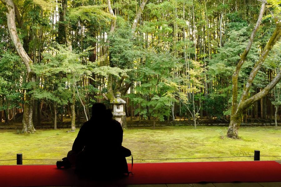 Kyoto: City Secrets eBike Tour - Guides matter: what you gain from Michael, Shizuka, Henry, Sean, and Yuta