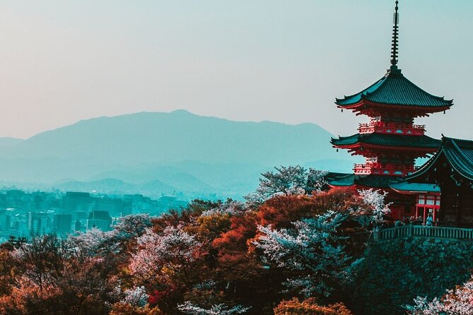 Kyoto Custom Private Walking Tour with A Guide (Private Tour) - Private Customization: What You Gain From a Kyoto Guide