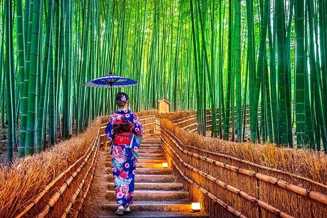 Kyoto Customizable Day Tour With Guide and Vehicle - Kiyomizudera and the Otowa Waterfall Story