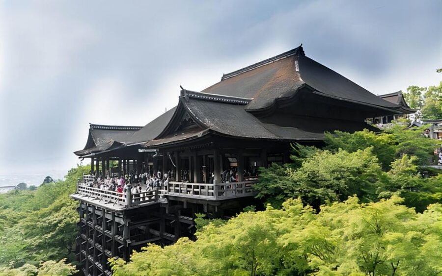 Kyoto: Customizable Full-Day Tour with Privarte Transfers - Nishiki Market: best used with a guide and a snack plan