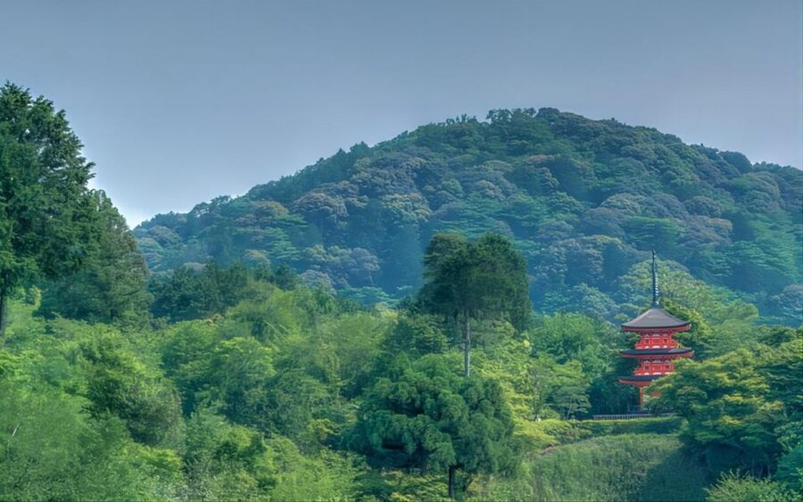 Kyoto: Customizable Full-Day Tour with Privarte Transfers - Fushimi Inari Taisha: torii gates, blessings, and a plan for walking