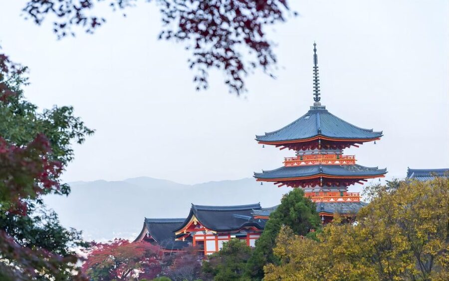 Kyoto: Customizable Full-Day Tour with Privarte Transfers - Price and value: what $234 per person really buys