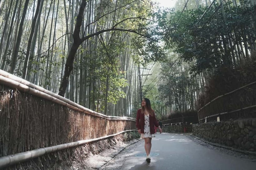 Kyoto Customizable Private Tour with a Local Guide - Kiyomizu-dera with guided sightseeing plus time for shopping