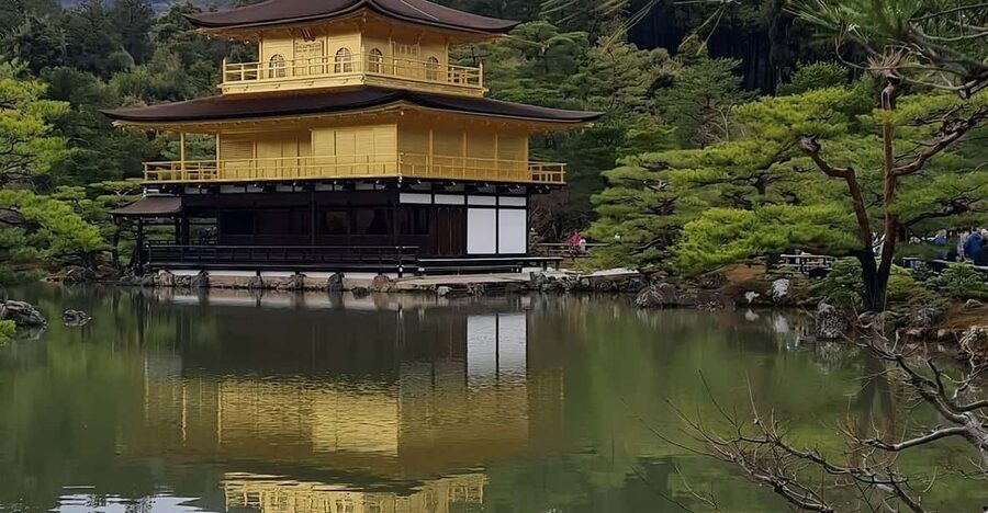 Kyoto: Customized One Day Car tour - Why a private car day fits Kyoto better than you think