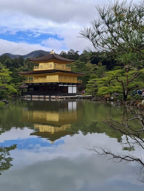 Kyoto: Customized One Day Car tour - Stop 1: Arashiyama Bamboo Forest, 1.5 hours of walking time