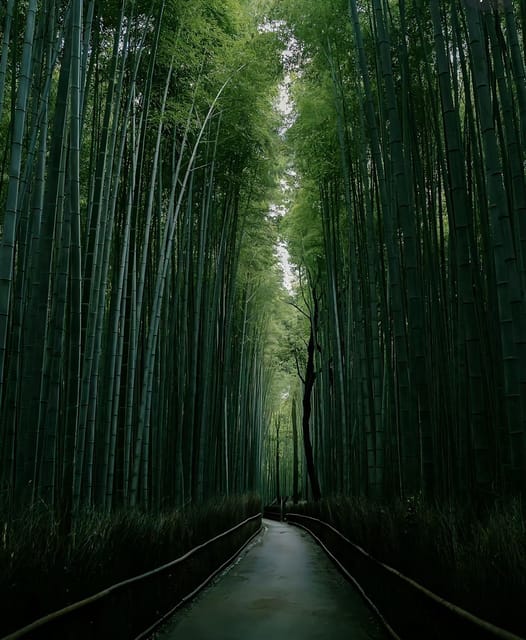 Kyoto: Customized One Day Car tour - Stop 4: Fushimi Inari Taisha, 1.5 hours with flexible pacing