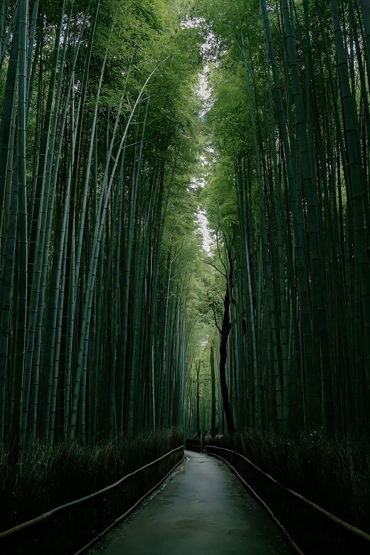 Kyoto: Customized One Day Car tour - Timing rules that affect your day: 08:00 to 18:00
