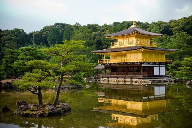 Kyoto Day Tour to Arashiyama, Fushimi Inari and Nara Deer Park - Who this tour suits best