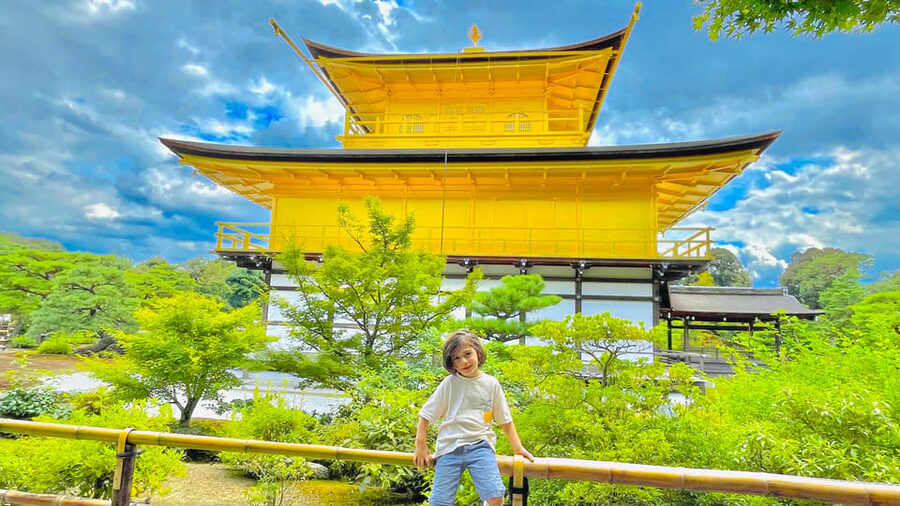 Kyoto Day Tour with Certified Tour Guide & Luxury vehicle - Who this tour fits best