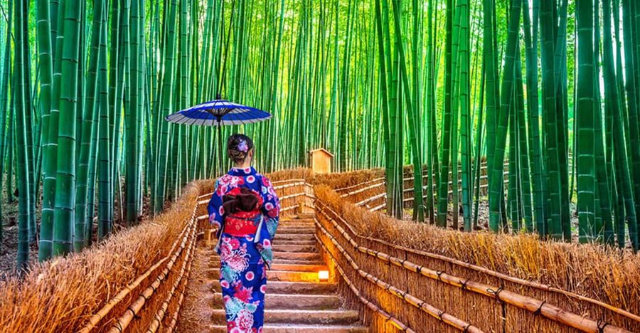 Kyoto Day Tour with Certified Tour Guide & Luxury vehicle - Getting picked up, then taking control