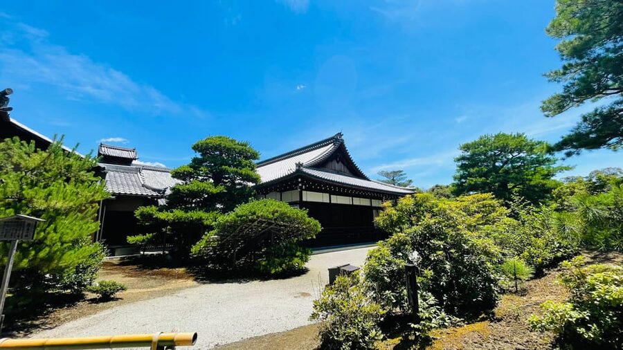 Kyoto Day Tour with Certified Tour Guide & Luxury vehicle - Price and logistics: when $490 actually makes sense