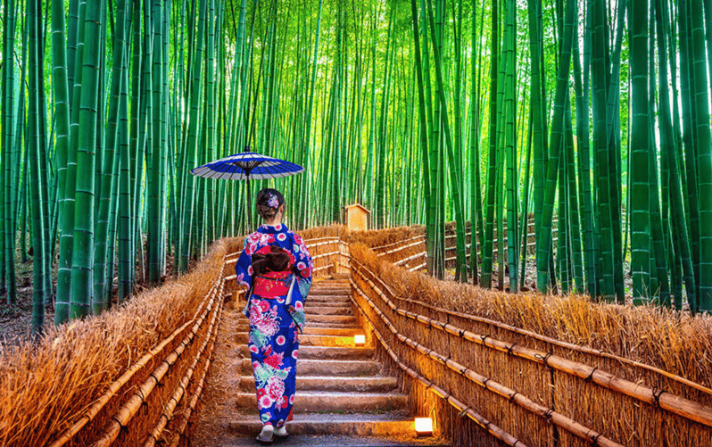 Kyoto Day Tour with Certified Tour Guide & Luxury vehicle - Arashiyama, where you get the scenery and the rhythm