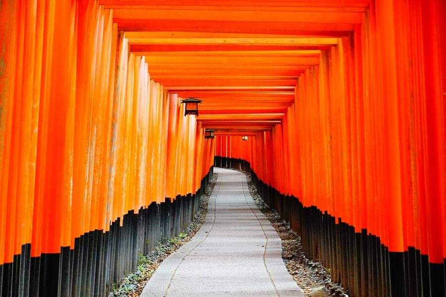 Kyoto Day Trip! Private Customizable Tour with Expert Guides - The smart way this tour stacks Kyoto highlights