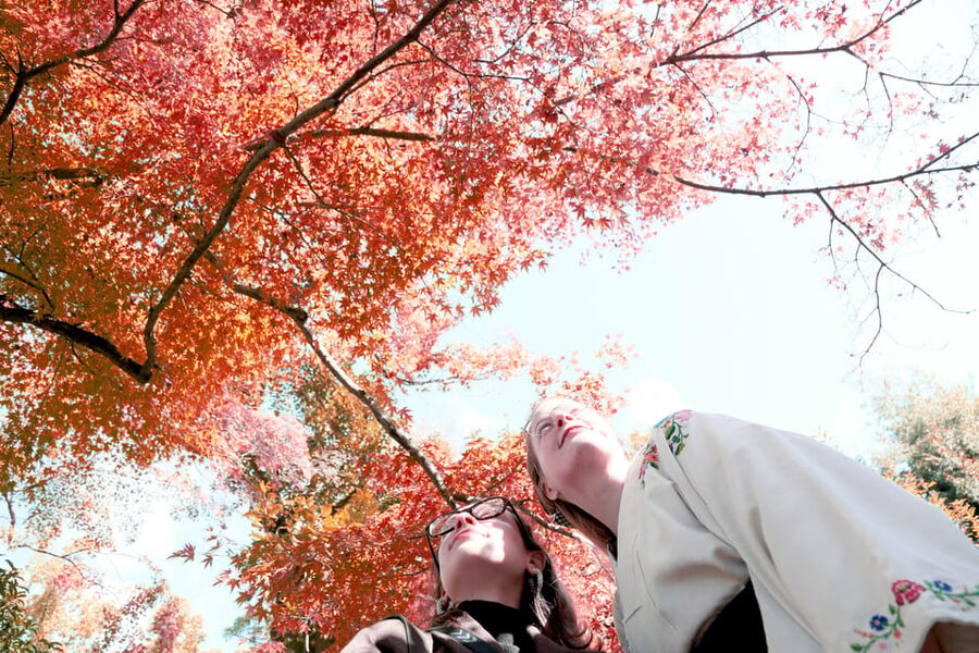 Kyoto: Discover the Oldest Geisha District, Kamishichiken - Price and value: $30 for 1.5 hours of meaning
