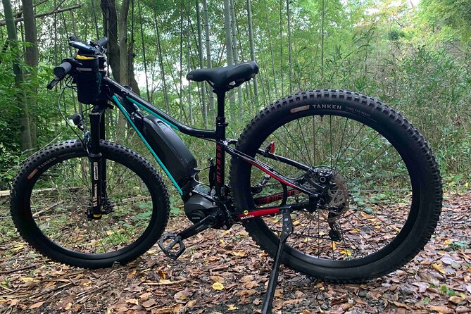 Kyoto E-Bike Rent (Powerful & Long model) - Key highlights