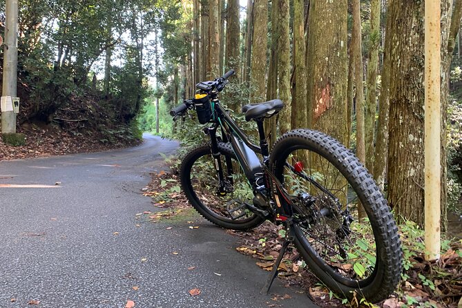 Kyoto E-Bike Rent (Powerful & Long model) - Getting set at the start point and ending back where you began