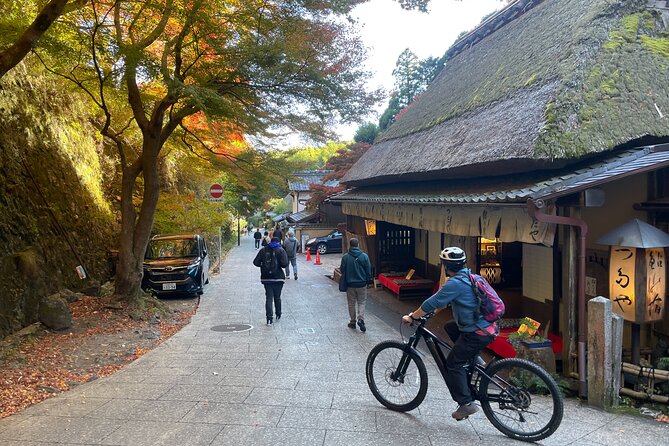 Kyoto E-Bike Rent (Powerful & Long model) - Day 2 beyond Kyoto core: Osaka, Nara, Lake Biwa, or Kameoka round trips