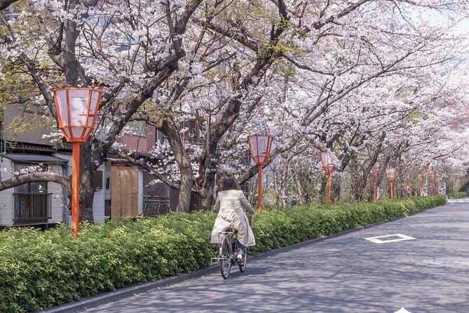Kyoto E-Bike Tour of Hidden Gems, Backstreets and Temples - Why Kyoto Works So Well on an E-Bike