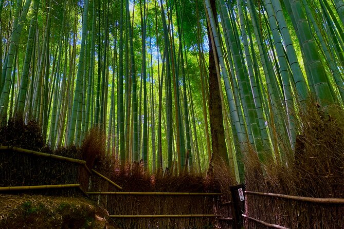 Kyoto Early Bird English Tour: Fushimi-Inari and Arashiyama - Fushimi-Inari Before the Lines: Torii Gates and Mount Inari