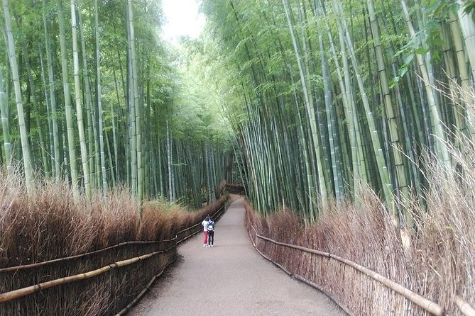 Kyoto Early Bird feat. Matcha Town Walking Tour - The guide factor, and why Koichi’s name matters