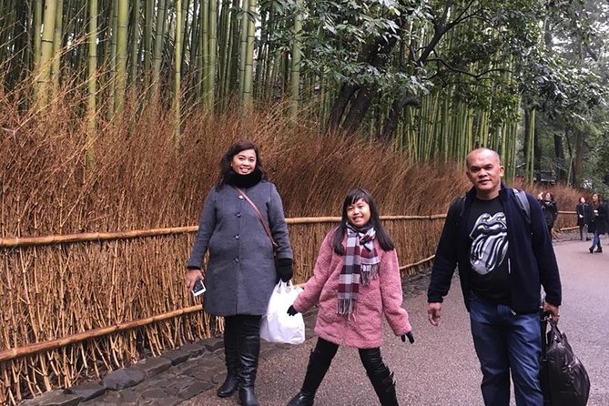 Kyoto Early Bird Walking Tour - Should you book this early bird Kyoto walk?