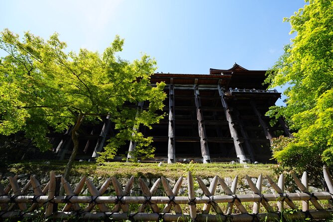 Kyoto Early Morning E Biking Tour Fushimi Inari Kiyomizu Temple - Should you book this tour?