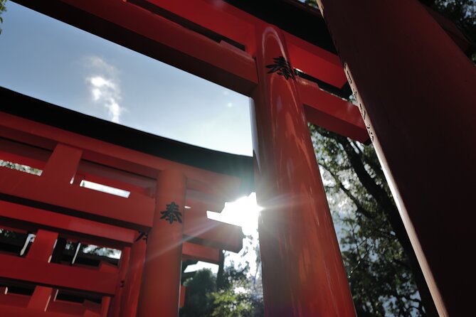 Kyoto Early Morning Tour with English-Speaking Guide - Price and Value: What You Pay For, What You Save