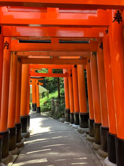 Kyoto: Essential Tour with Fushimi Inari & Bamboo Grove - Key highlights you will actually feel on the day