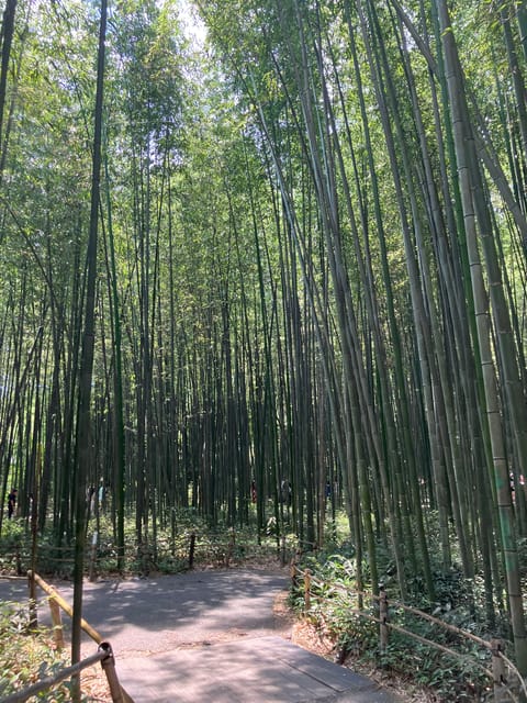 Kyoto: Essential Tour with Fushimi Inari & Bamboo Grove - Fushimi Inari Taisha: the torii you understand, not just photograph