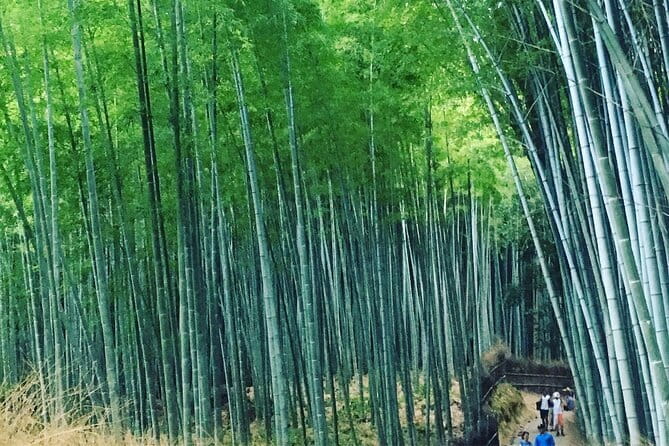 KYOTO Explore Top Highlights by Private Walking Tour - Fushimi Inari Taisha short course under 30 minutes