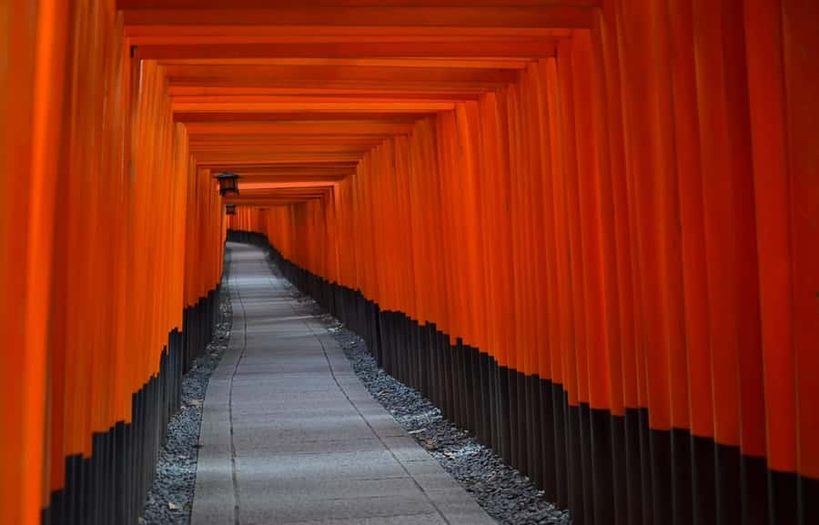Kyoto : Flexible 3 hours Tour with a English Speaking guide. - Price and what your $91 per person really buys