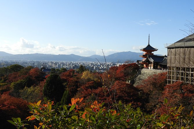 Kyoto Full Day (8 hours) Ultimate Sightseeing Private Tour - Who should book this Kyoto full day highlights tour
