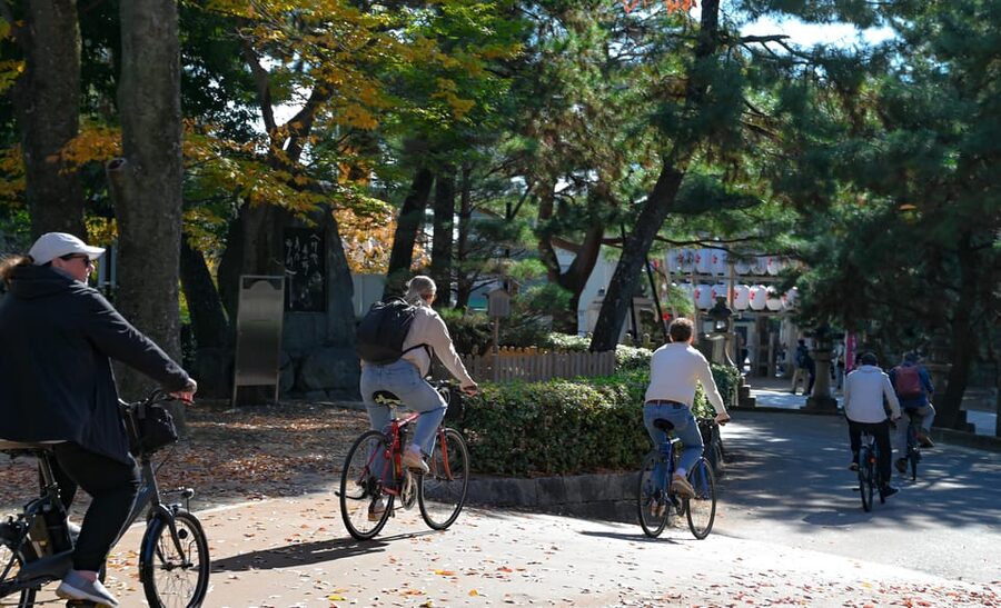 Kyoto: Full Day Bike Tour - Toji and Nishi Hongan-ji: Kyoto’s opening act is old and meaningful