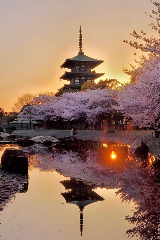 Kyoto full day private day trip with English speaking driver - Key takeaways before you go