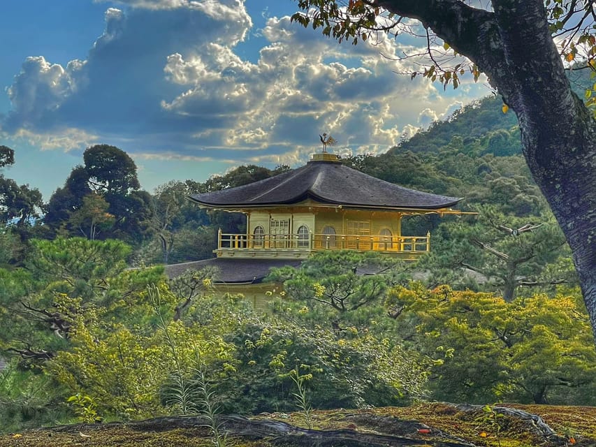 Kyoto full day private day trip with English speaking driver - Comfort details that actually help you enjoy the day