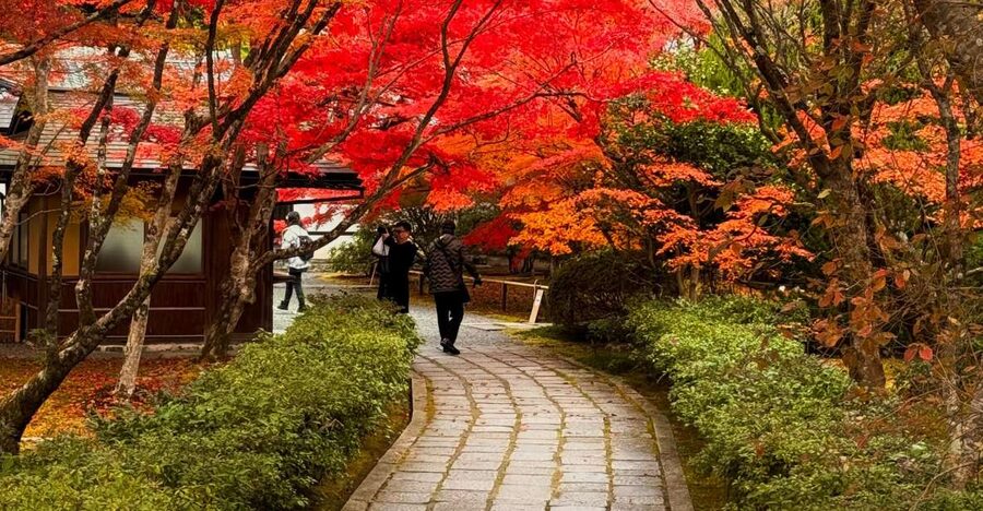 Kyoto: Fully customizable your own tour in the old capital - Should you book this private customizable Kyoto tour?