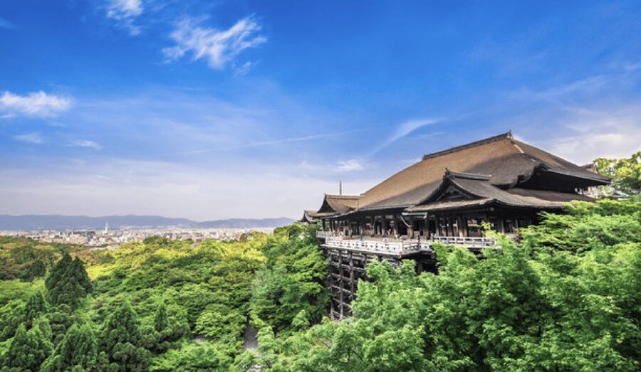 Kyoto: Fully-Customized One-day Private Tour - Key highlights to know before you go