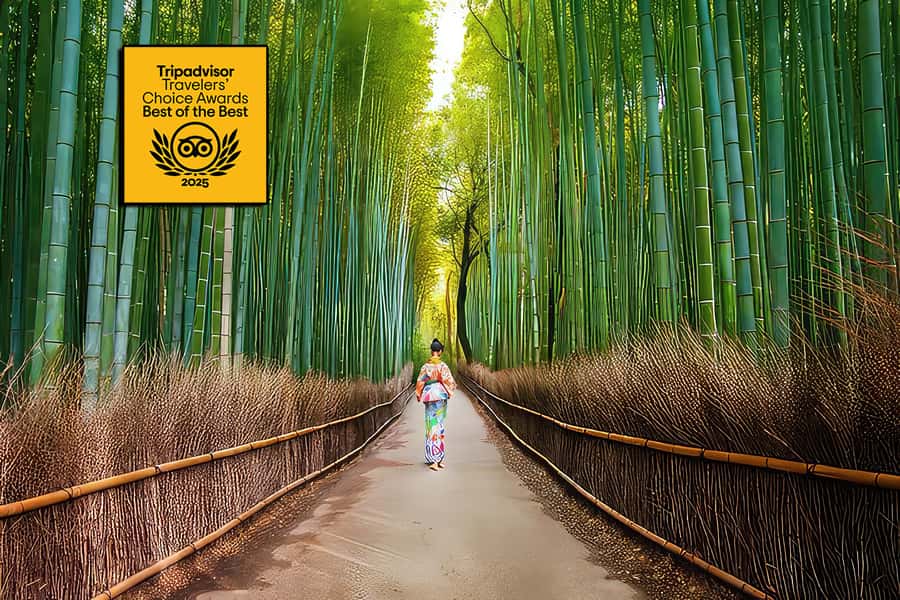 Kyoto: Fushimi, Arashiyama - Bamboo, Monkey, Torii & Secrets - Key things I’d circle before you go