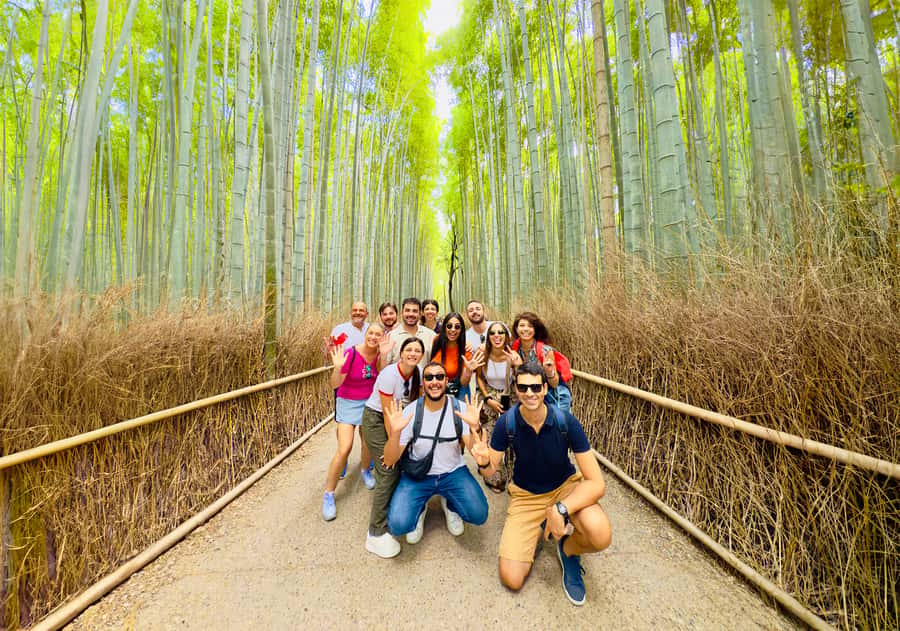 Kyoto: Fushimi, Arashiyama - Bamboo, Monkey, Torii & Secrets - Monkey Park Kyoto: wild macaques, a steep climb, and big views