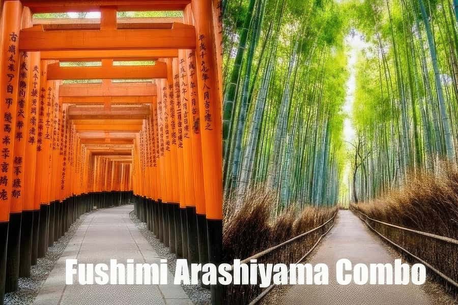 Kyoto: Fushimi, Arashiyama - Bamboo, Monkey, Torii & Secrets - The “full” Inari climb: timing, pacing, and what to expect