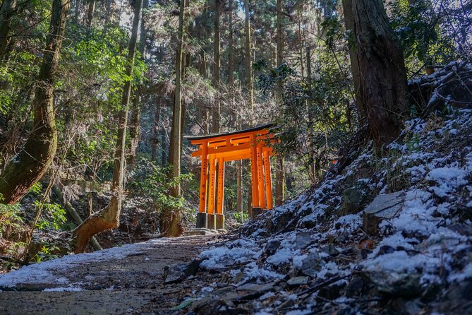 Kyoto: Fushimi Inari Hidden Hike (Private) - Key Points You Should Know Before You Go