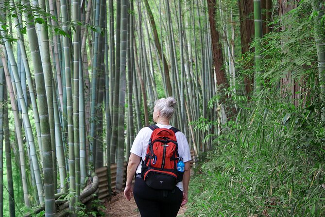 Kyoto: Fushimi Inari Hidden Hike (Private) - What You’ll See and Learn Along the Route (Without Feeling Lost)