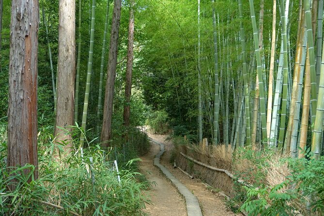 Kyoto: Fushimi Inari Hidden Hike (Private) - Complimentary DSLR Photos: The Part That Saves You Effort