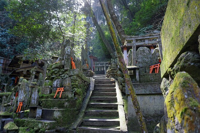 Kyoto: Fushimi Inari Hidden Hike (Private) - Meeting Point, End Point, and What Private Means in Practice