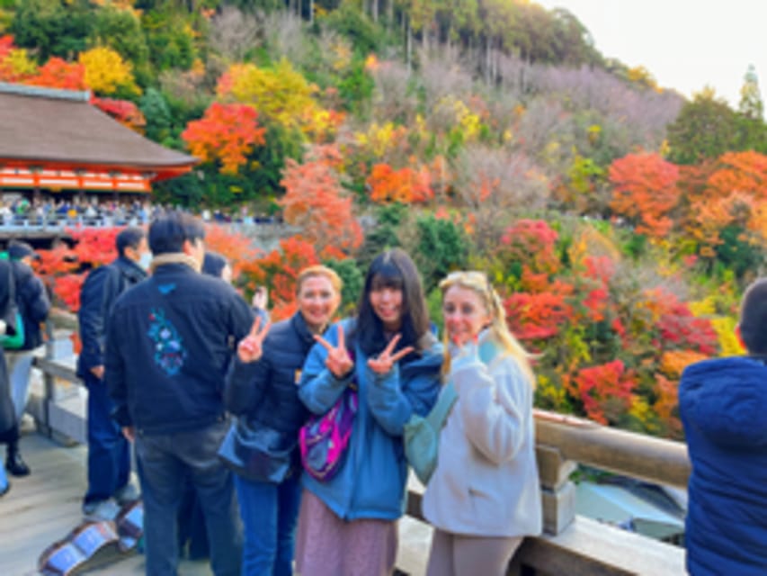 Kyoto: Fushimi Inari, Kinkakuji, Bamboo Grove 1 Day Bus Tour - Sagano Bamboo Forest photo stop, then Tenryuji’s garden with four-season vibes