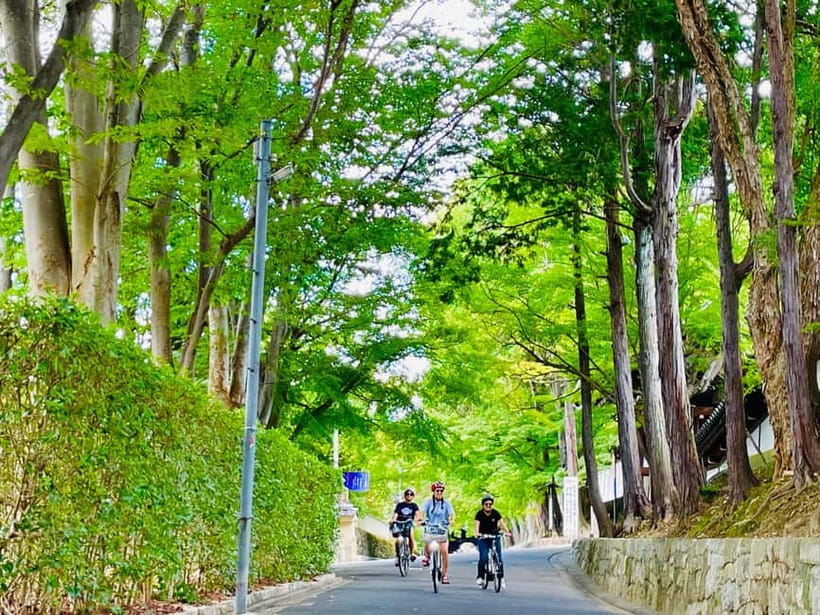 Kyoto: Fushimi Inari Shrine and Tofukuji Temple E-Bike Tour - Pedal Adventure Kyoto Start: Bike Comfort, Safety, and a Fast Orientation